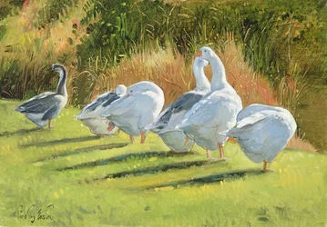 Grabenrand, Bedfield